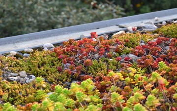 the cost of Silwick green roof installation
