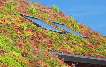 Silwick living roof systems